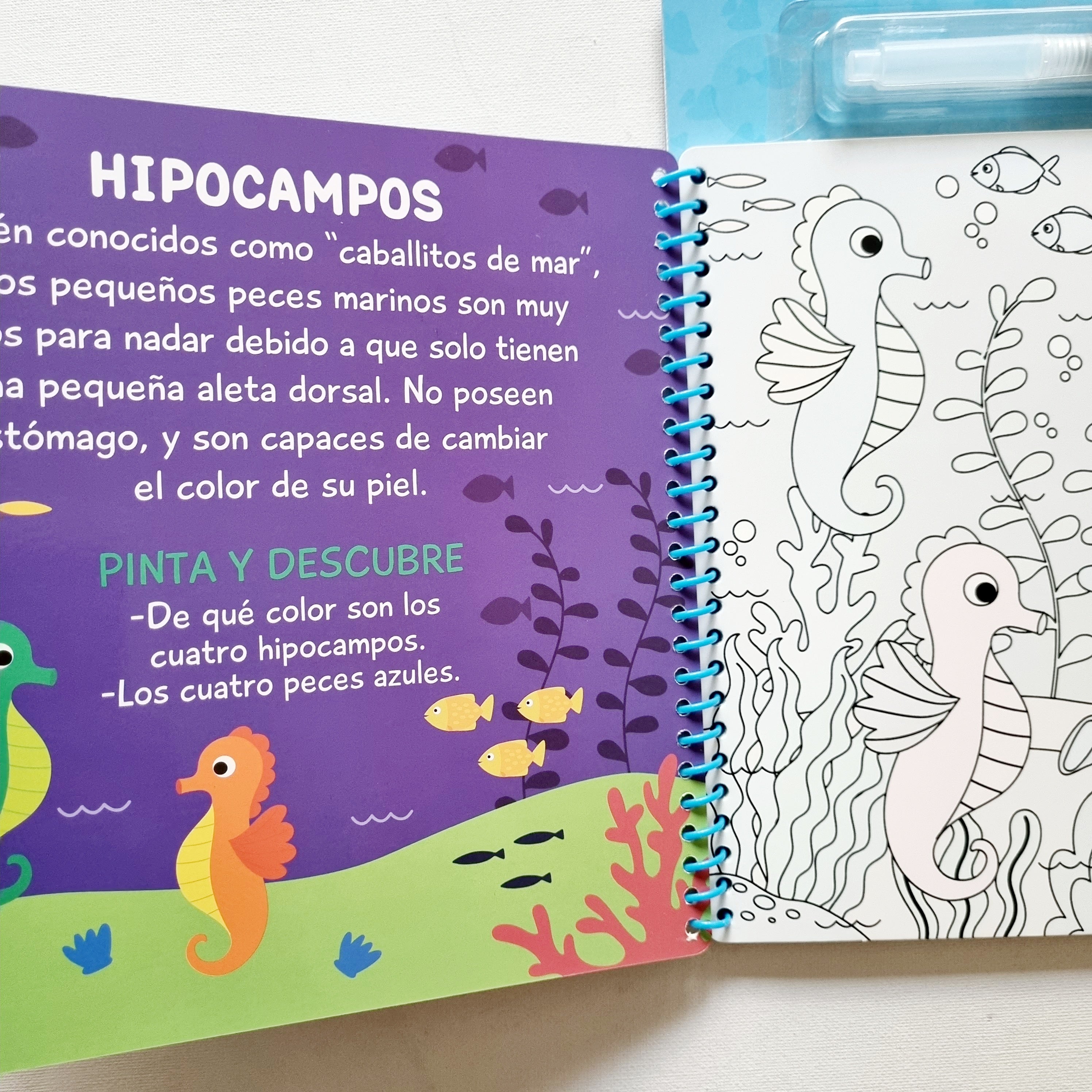 Magia al agua. En el océano pinto con agua Magia al agua. En el océano pinto con agua